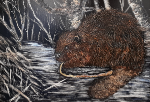 Canadian Beaver, 5"Hx7"W