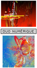 Duo Numérique: Michel et Lise Desjardins; Laurentides, Québec
