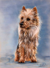 Margaret Ann Adams; Arundel, Québec (Impression Giclée / Giclée Print)