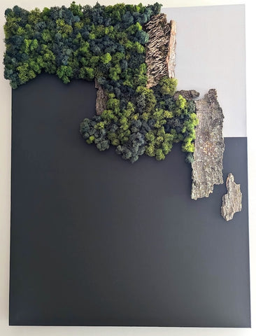 Égaré dans le silence / Astray in silence, 101 cm Hx76 cm W