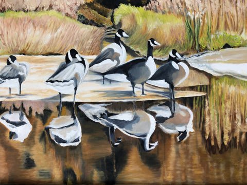 Geese at the end of Round Lake, Montcalm, 22"Hx28"W