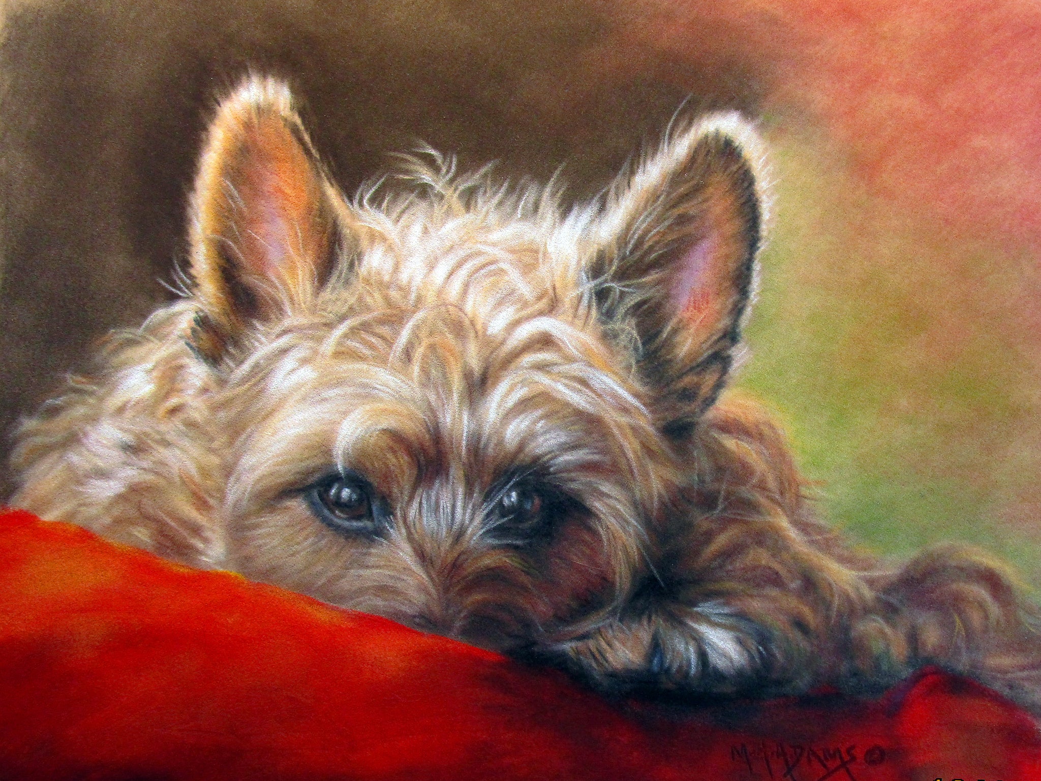 What's All About Alfie, 11"HX14"Wx1.5"D
