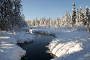 Where the River Runs - Paint a beautiful Laurentian Winter scene (Online, Live - Feb 25, Mar 04 & Mar 11)
