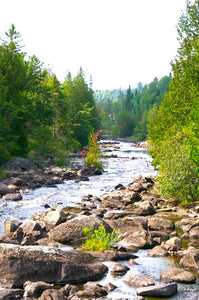 The North River Begins - Paint a beautiful river scene (Online, Live -  July 05 & July 08)